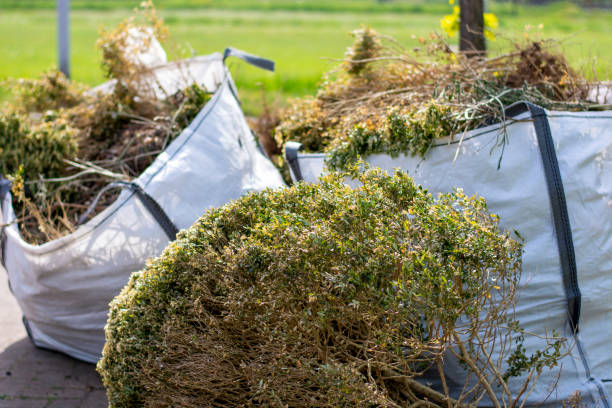 Best Commercial Junk Removal  in Hamilton, GA
